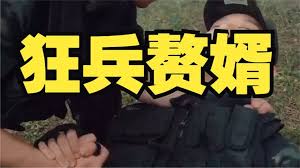 狂兵赘婿(全集)